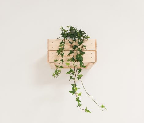 federica-galli-571119-unsplash